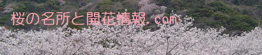 桜の名所と開花情報.com
